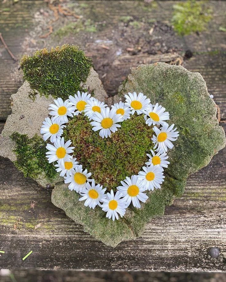 Herz aus Moos und Blumen